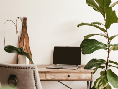 Need a WordPress Website in Pietermaritzburg?